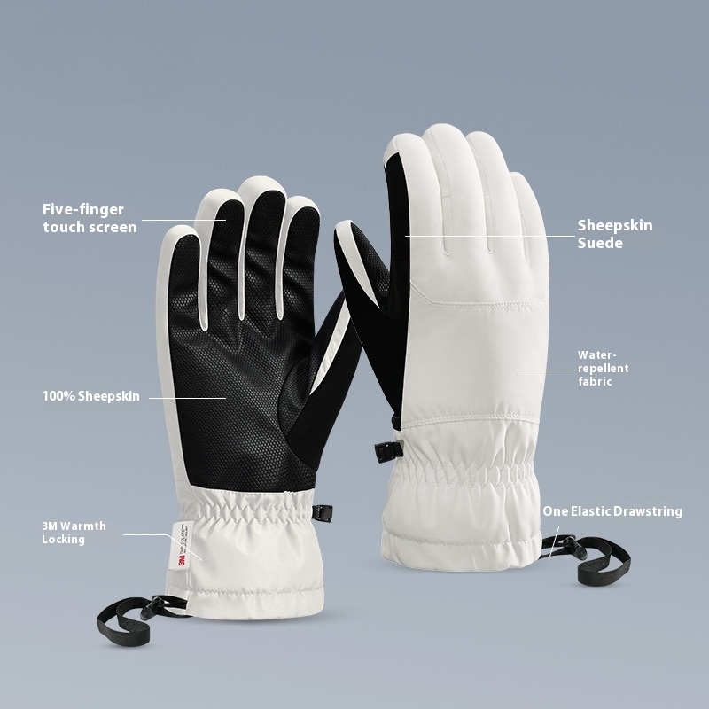 Nouveaux gants thermiques d'hi - Winter Glove Insulated avis et prix