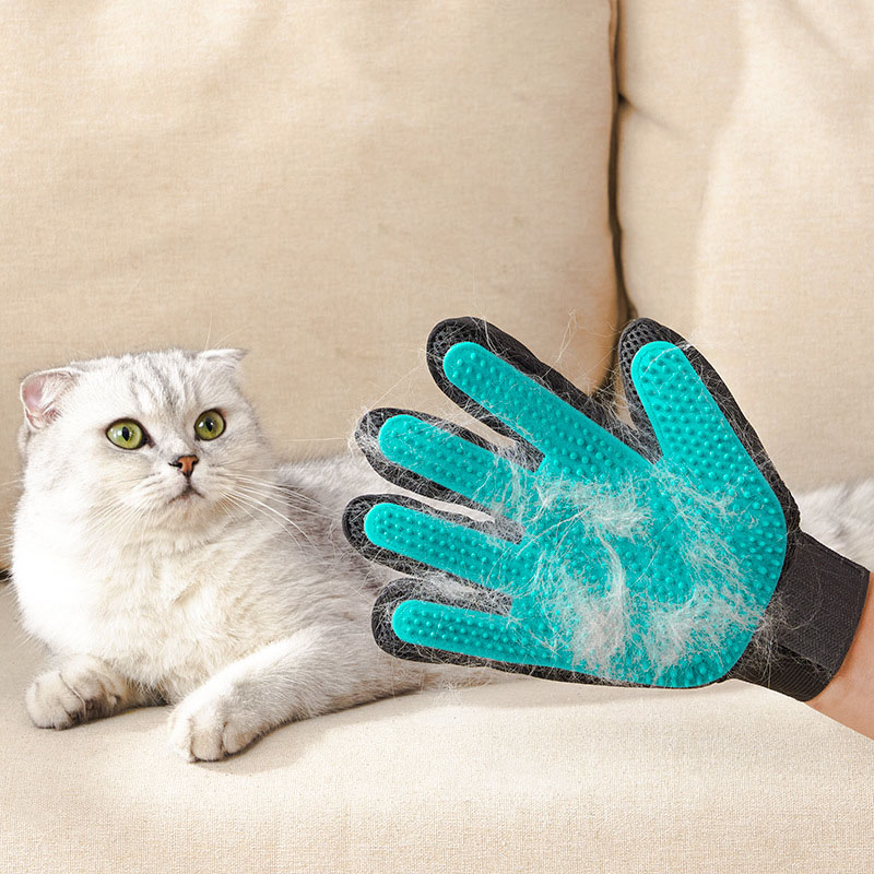 Gant de toilettage pour animau - Rubber Glove Cleaning avis et prix