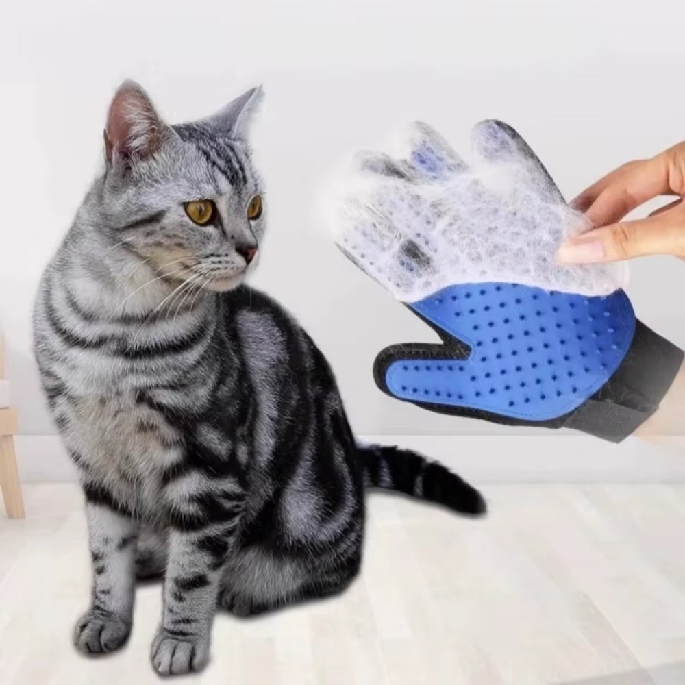 Gants de toilettage pour anima - Rubber Glove Cleaning avis et prix