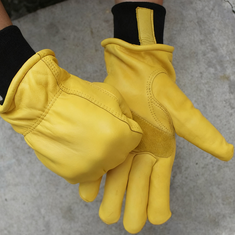 Gants d'hiver de moto pour hom - Winter Glove Insulated avis et prix