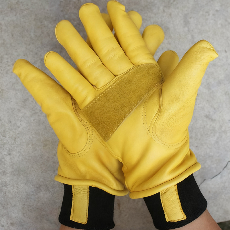 Gants d'hiver de moto pour hom - Winter Glove Insulated avis et prix