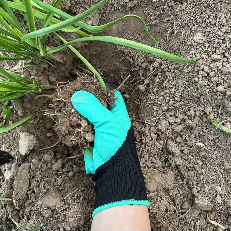 Gants de jardinage avec griffe - Gardening Glove Waterproof avis et prix